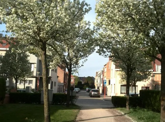 Chez Aurelia Apartment